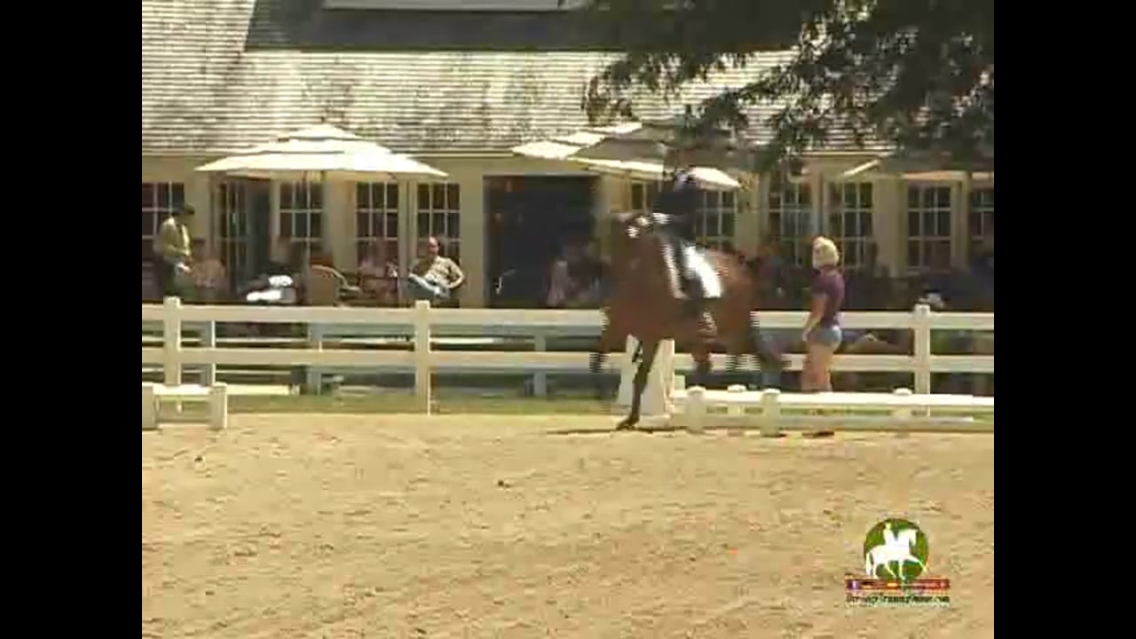 2010 Markel/USEF Young & Developing Horse Champs - FEI 6 YO Tests | PART 05