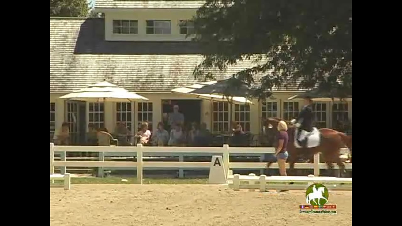 2010 Markel/USEF Young & Developing Horse Champs - FEI 6 YO Tests | PART 04