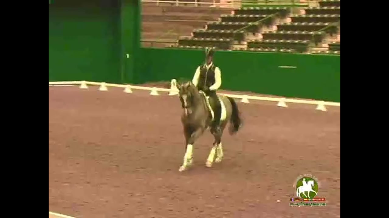 2009 Adequan/USDF Symposium | Jan Brink | PART 10