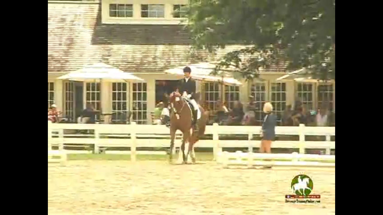 2010 Markel/USEF Ntl. Young Horse Chams - FEI Four Year Old Tests | PART 02