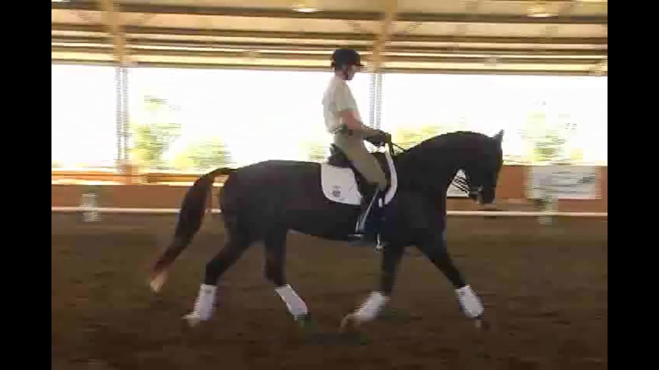 2007 Succeed/USDF FEI Level Trainer's Conf. Day 2 | Jeremy Steinberg | PART 02