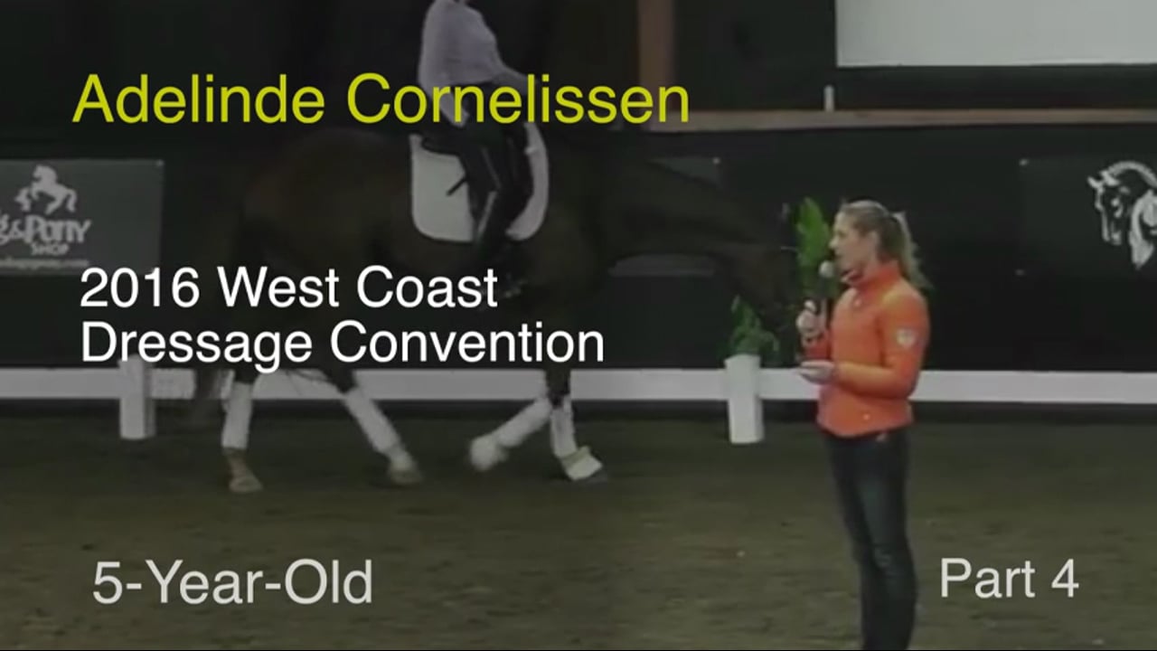 2016 West Coast Dressage Convention - Five Year Old, rider position, connection