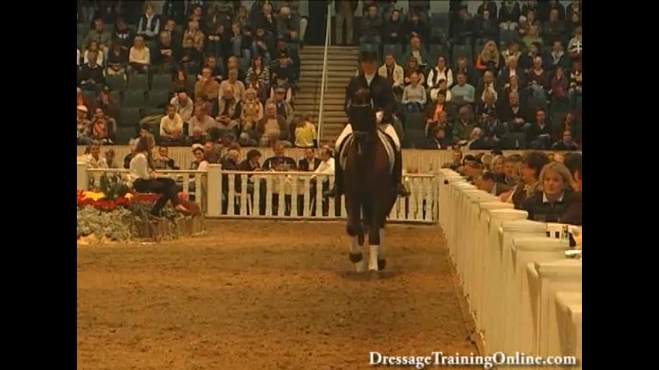 2008 121st Elite Hanoverian Auction, The complete auction experience!
