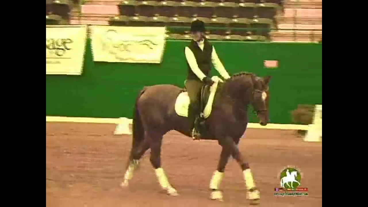 2009 Adequan/USDF Symposium | Jan Brink | PART 17