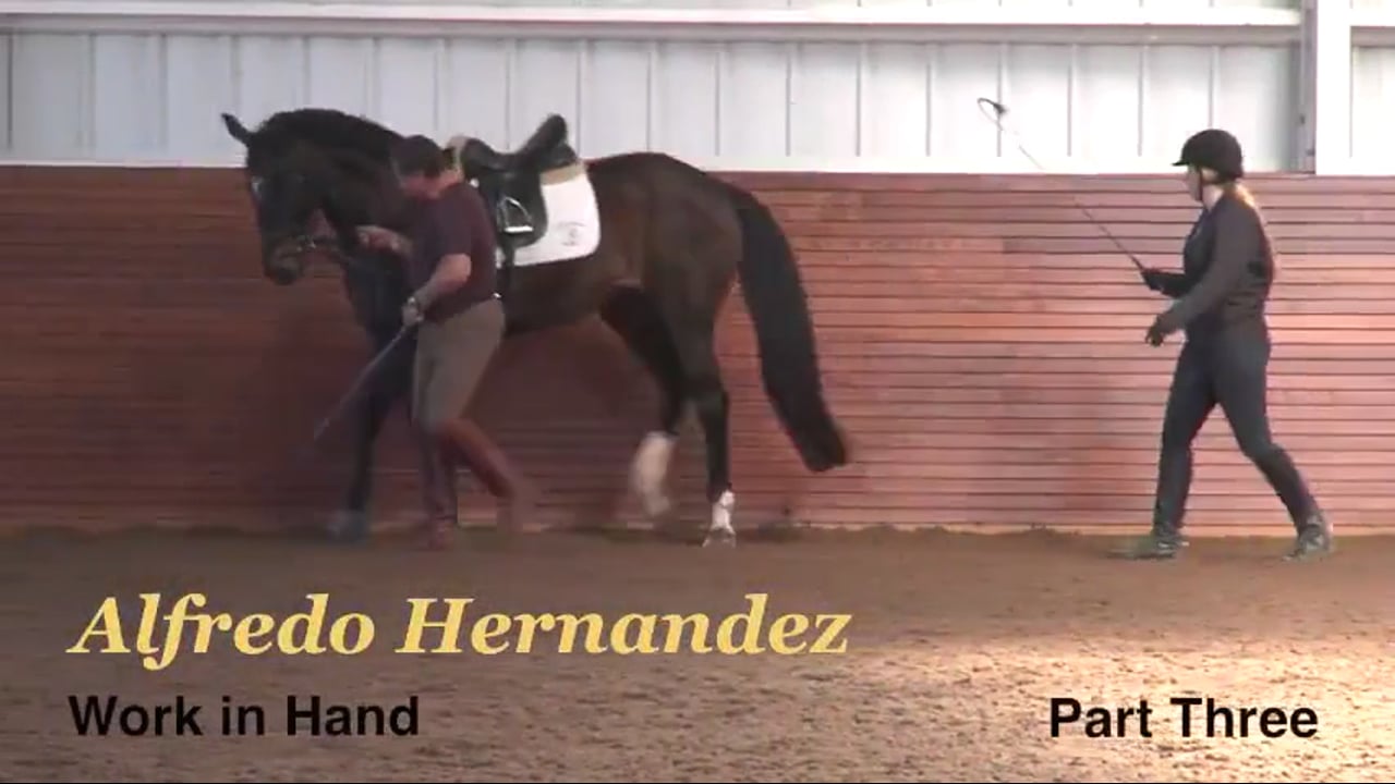 2nd Level and above, Work in Hand | Alfredo Hernandez | PART 03