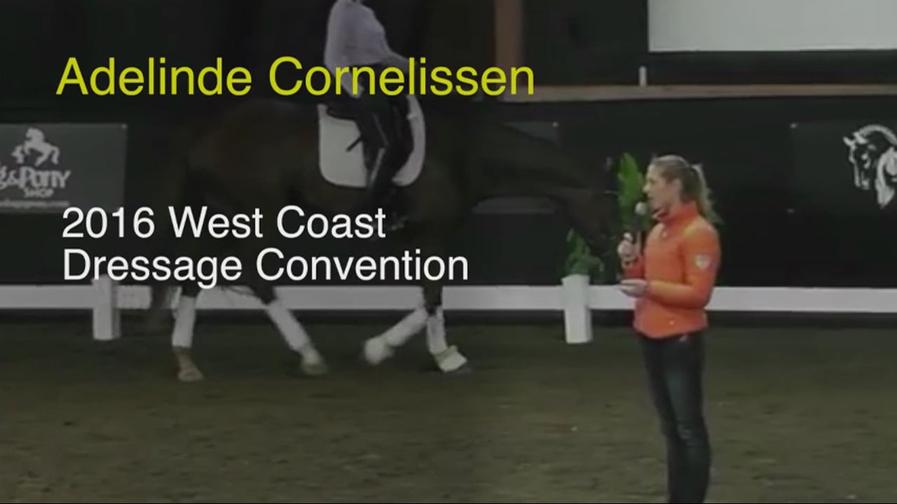 2016 West Coast Dressage Convention - Four Year Old, balance, stretch, steadines