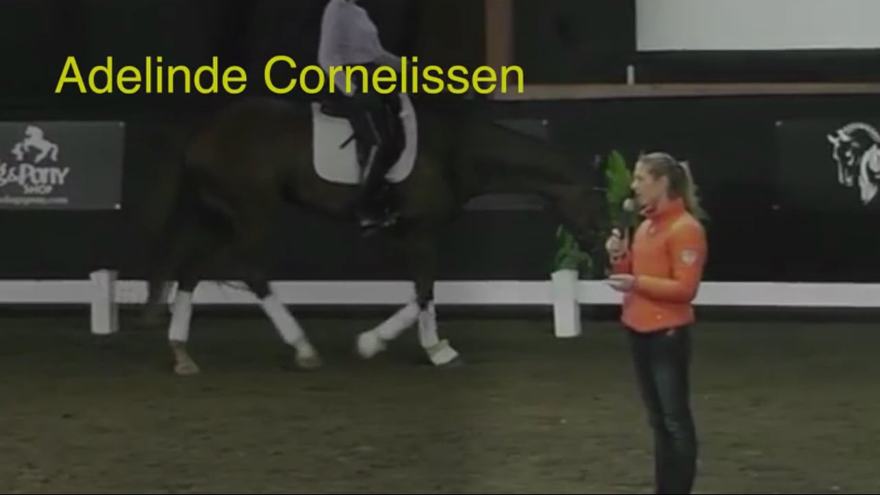 2016 West Coast Dressage Convention - Four Year Old, balance, stretch, steadines