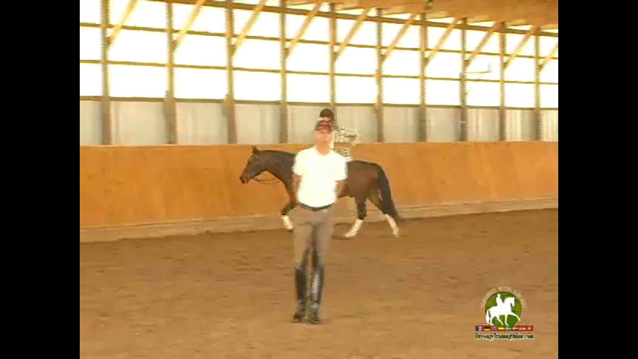 2nd Level, Through The Levels | Janet Foy & Steffen Peters | PART 04