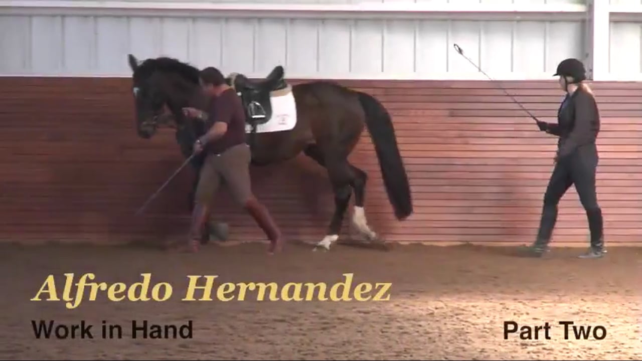 2nd Level and above, Work in Hand | Alfredo Hernandez | PART 02