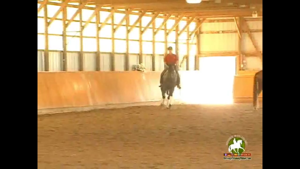 4th Level thru GP, Through the Levels | Janet Foy & Steffen Peters | PART 12