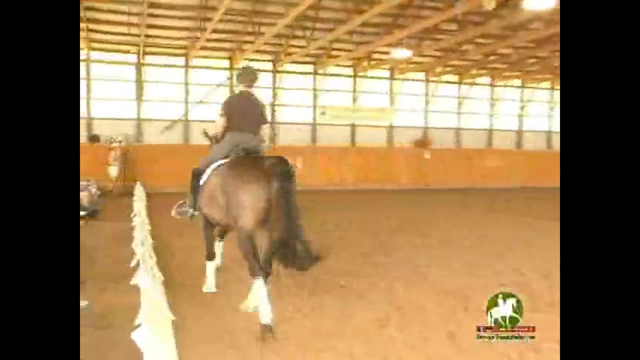 4th Level thru GP, Through the Levels | Janet Foy & Steffen Peters | PART 16