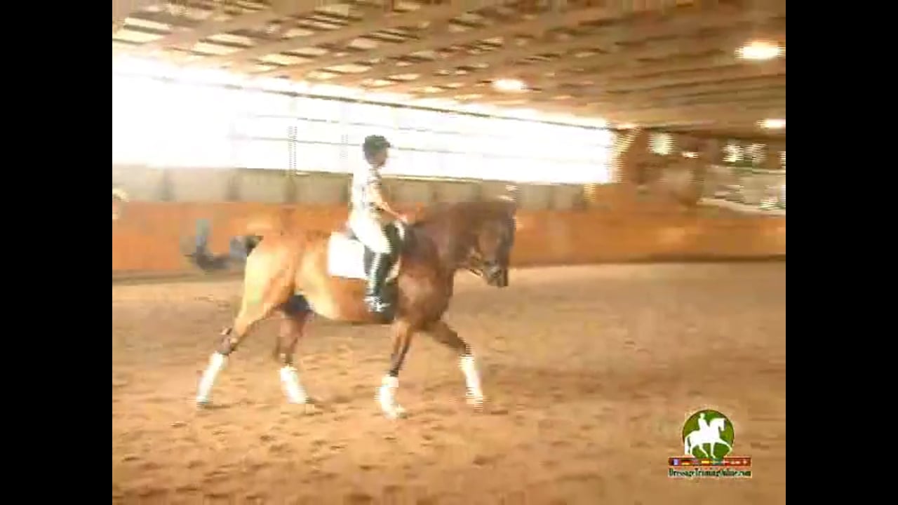 4th Level thru GP, Through the Levels | Janet Foy & Steffen Peters | PART 07