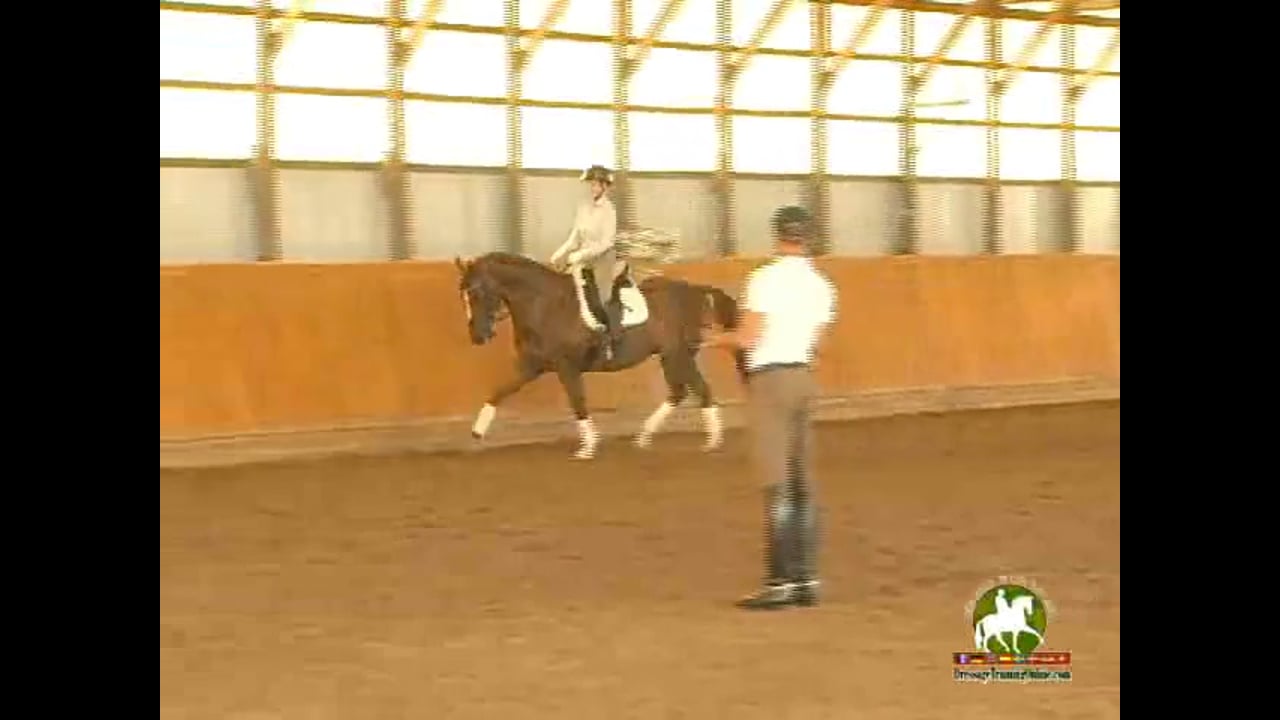 2nd Level, Through The Levels | Janet Foy & Steffen Peters | PART 03