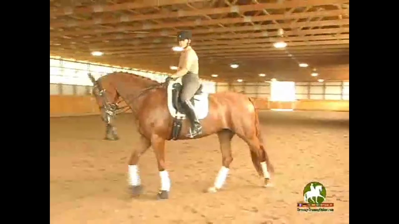 4th Level thru GP, Through the Levels | Janet Foy & Steffen Peters | PART 10