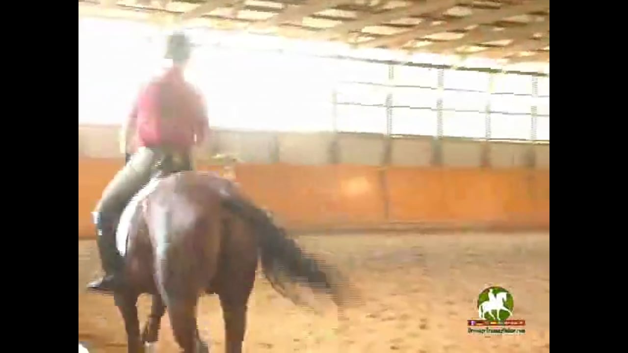 4th Level thru GP, Through the Levels | Janet Foy & Steffen Peters | PART 08