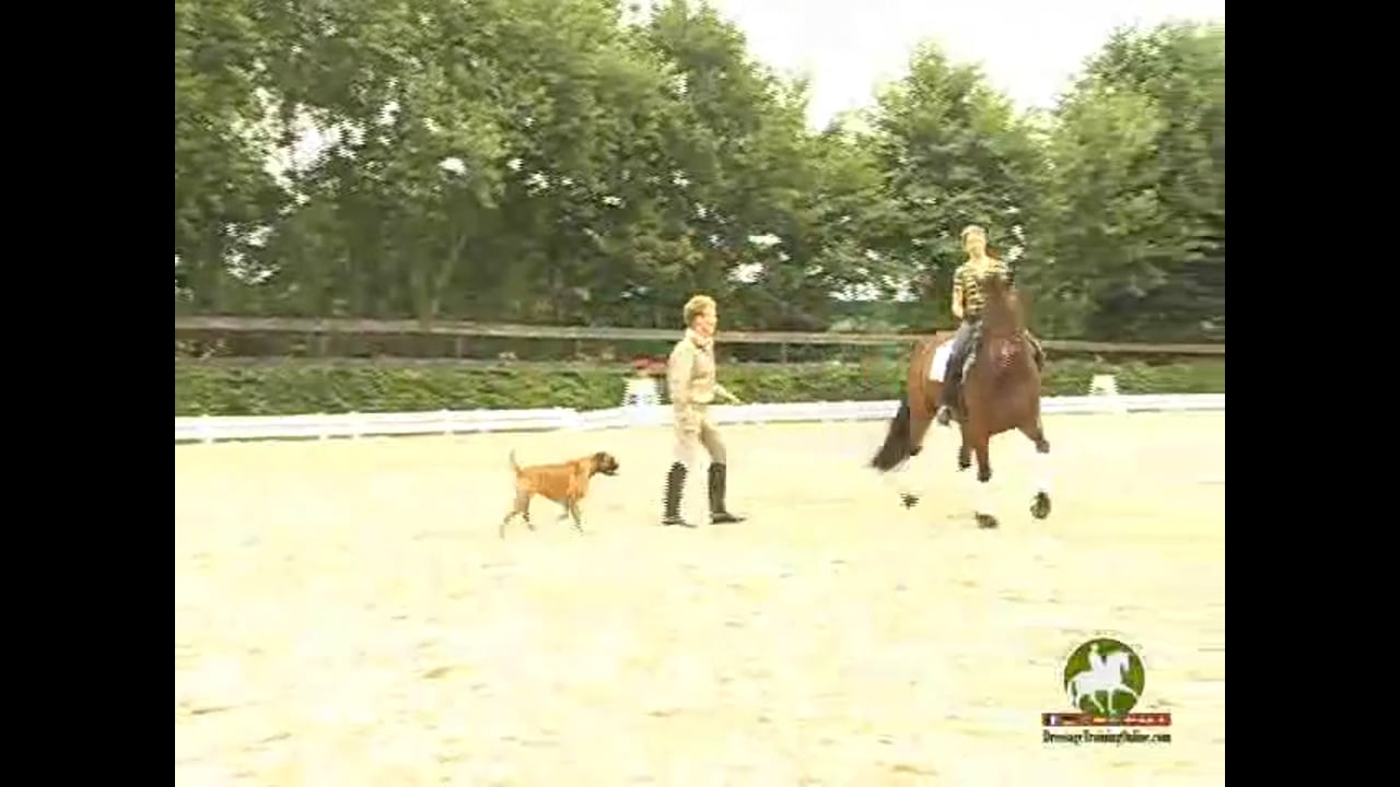 Understanding How to Make a Better Trot! | Katrin Bettenworth | PART 01