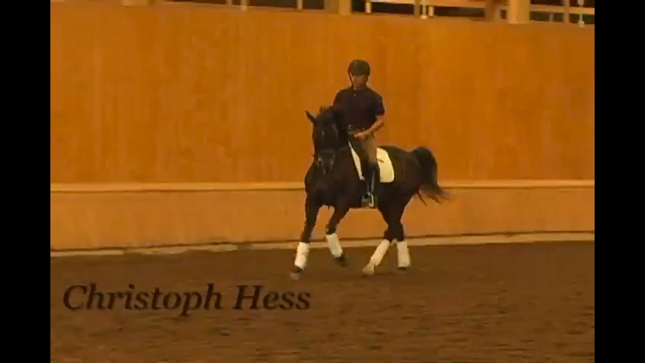 Stretching for Upper Levels, Day 1 | Christoph Hess | PART 05
