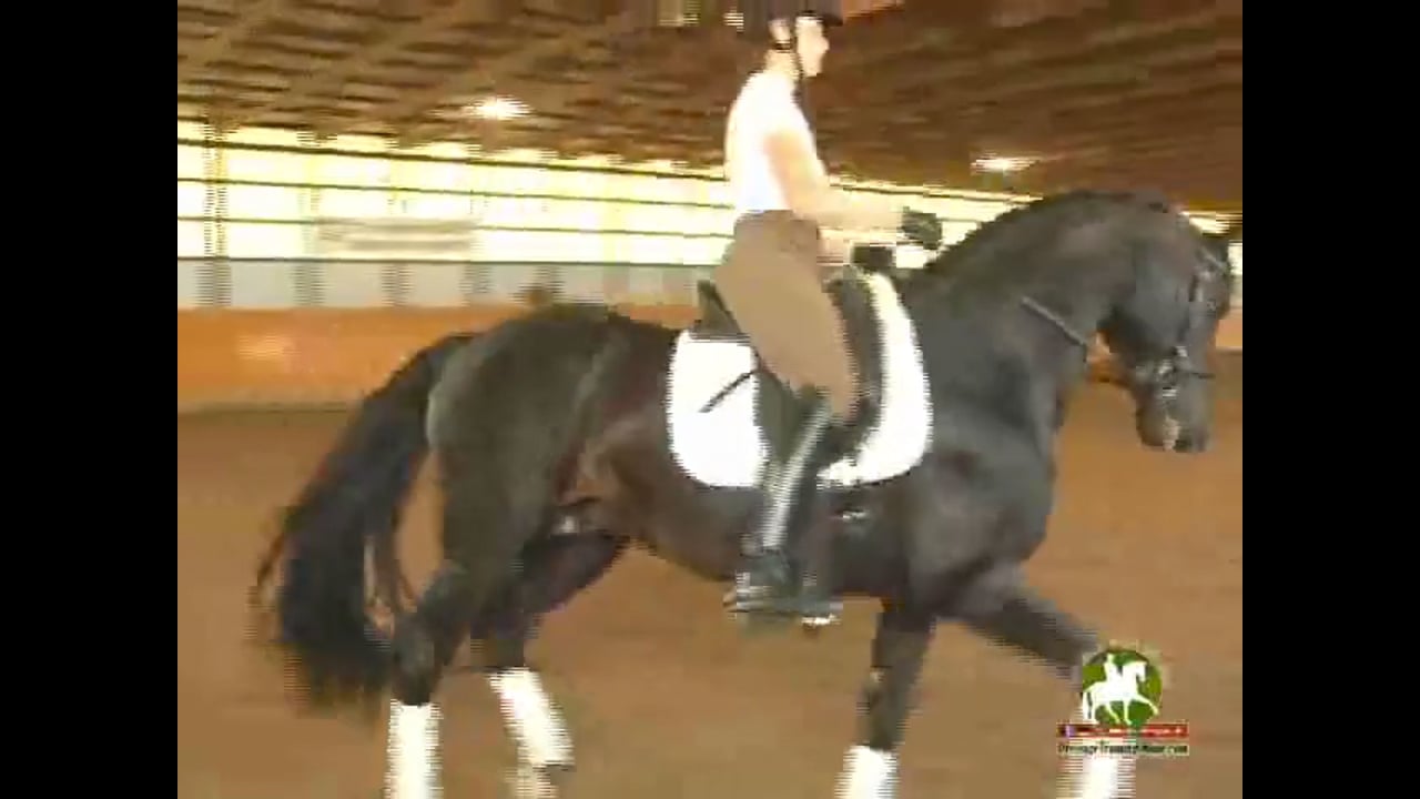 4th Level thru GP, Through the Levels | Janet Foy & Steffen Peters | PART 04