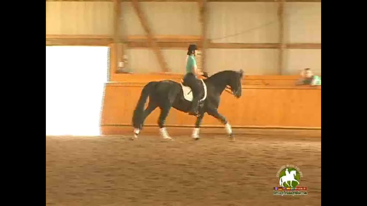 4th Level thru GP, Through the Levels | Janet Foy & Steffen Peters | PART 02