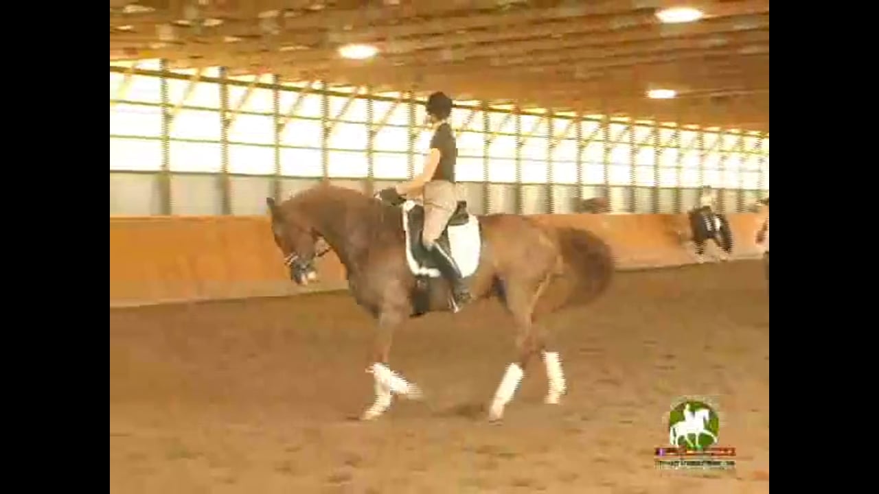 4th Level thru GP, Through the Levels | Janet Foy & Steffen Peters | PART 05