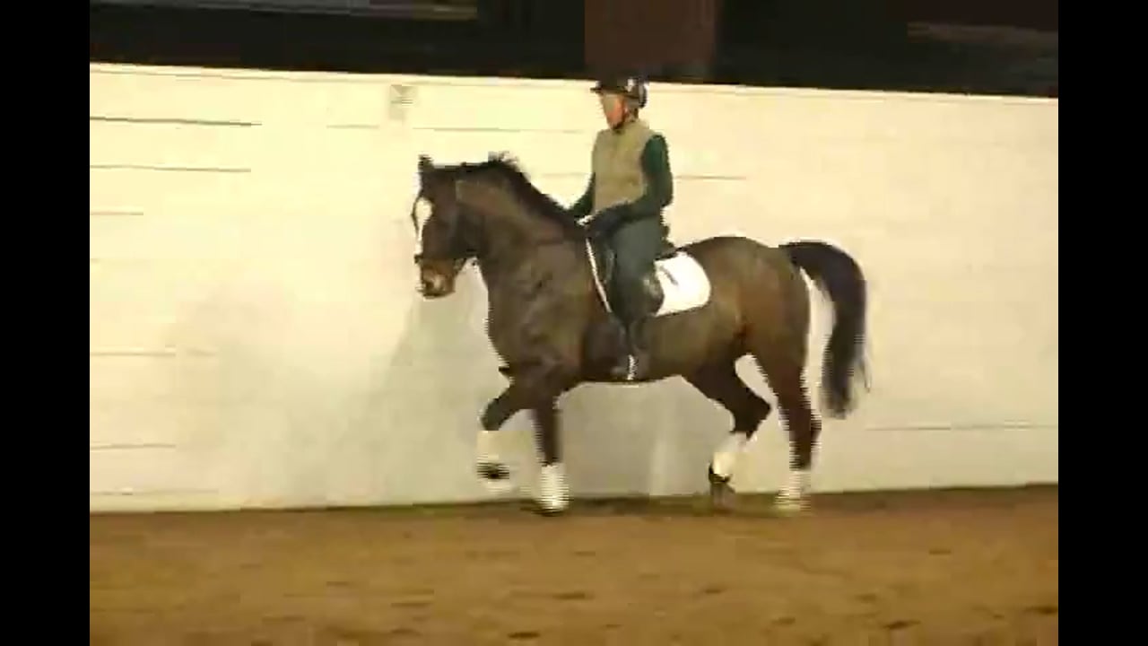 Training Caryn Vesperman at Second Level |Alex Gerding | PART 04