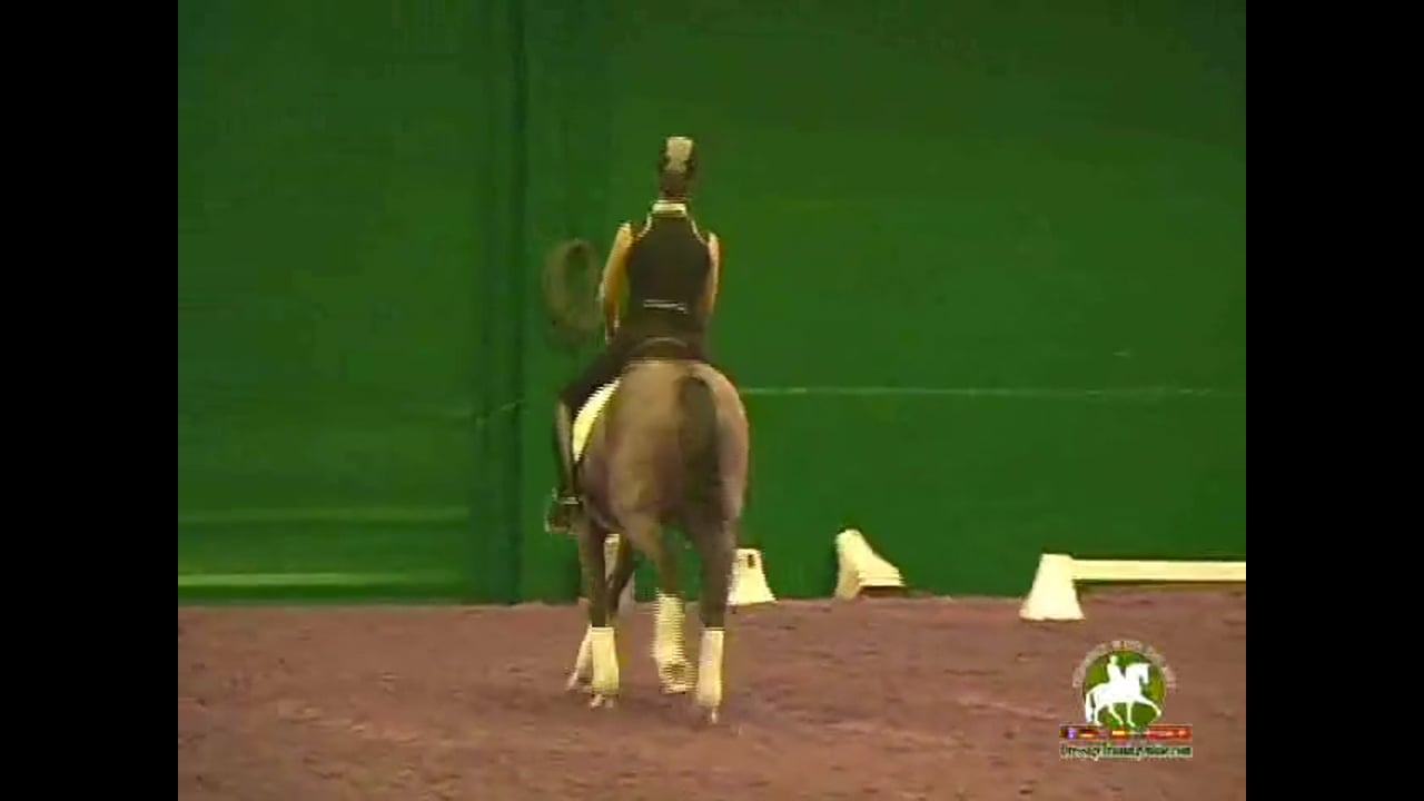 2009 Adequan/USDF Symposium | Jan Brink | PART 12