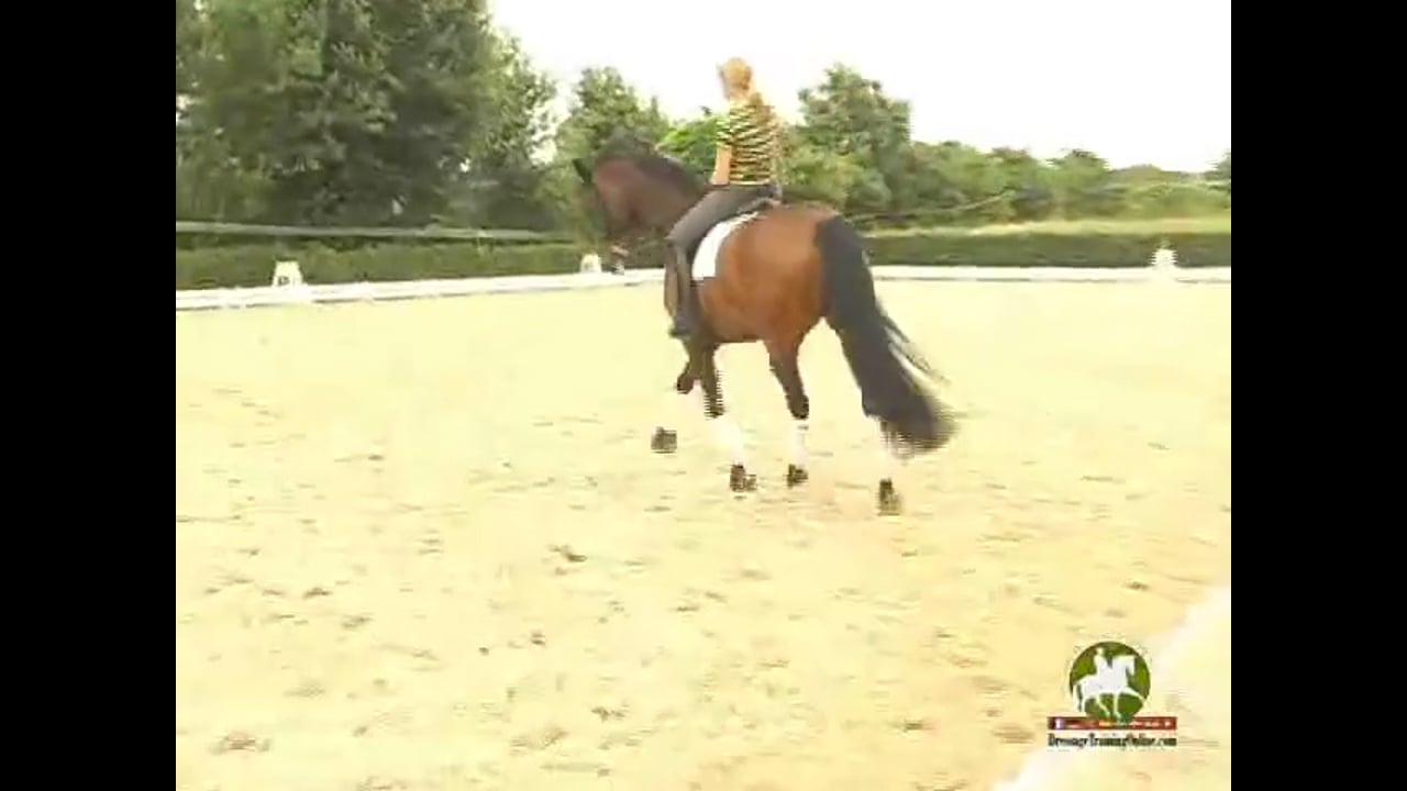 Understanding How to Make a Better Trot! | Katrin Bettenworth | PART 03
