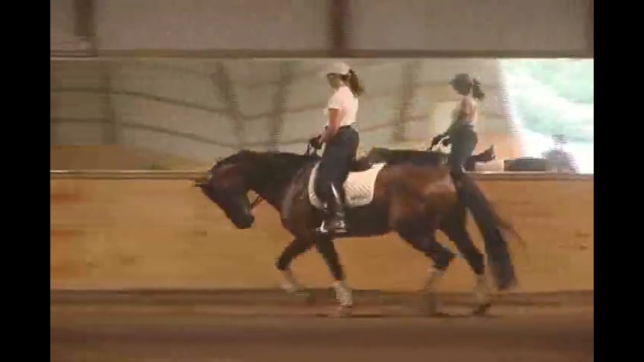 Chrissa Hoffmann on Breyere training at Second Level | Alex Gerding | PART 02