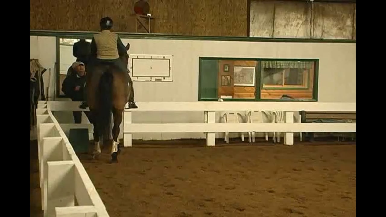 Training Caryn Vesperman at Second Level | Alex Gerding | PART 02