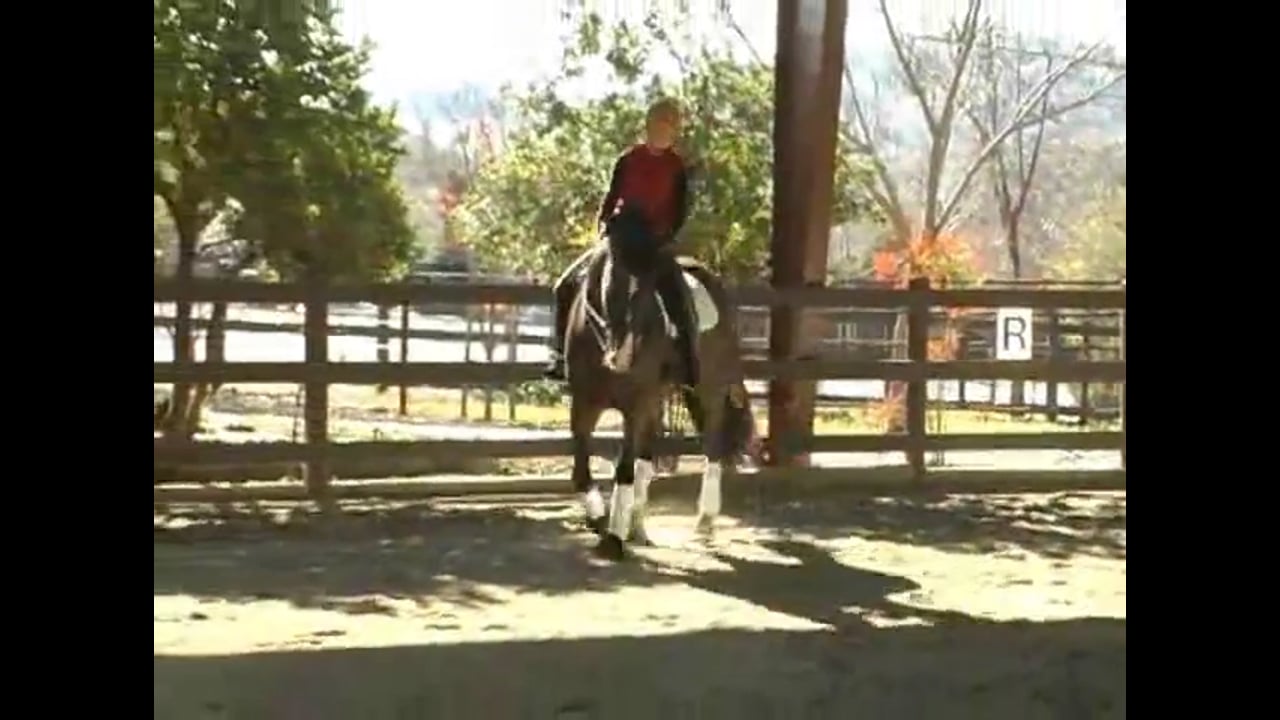 Chrissa Hoffmann on Breyere training at Second Level | Alex Gerding | PART 01