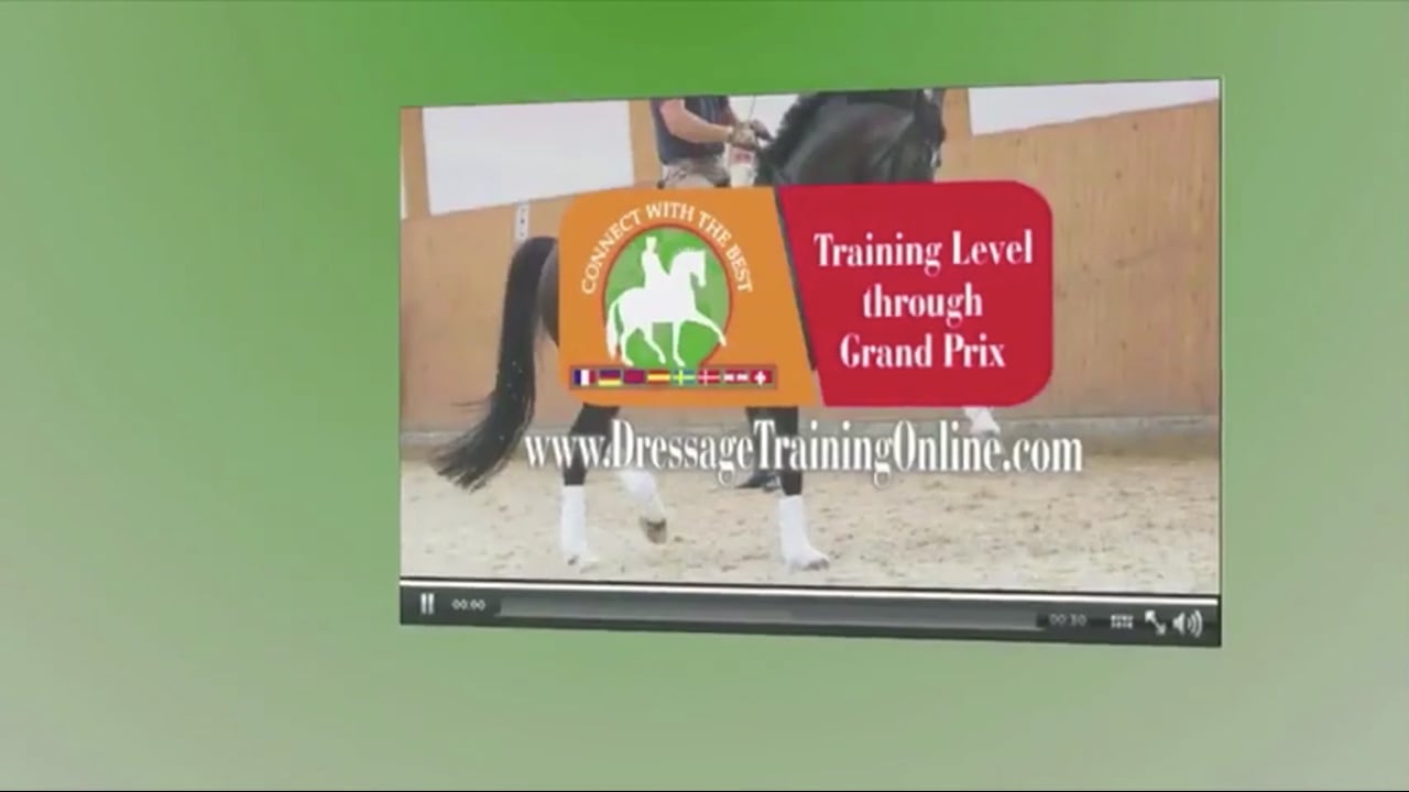 1st level, Intro to Work in Hand | Alfredo Hernandez | PART 01