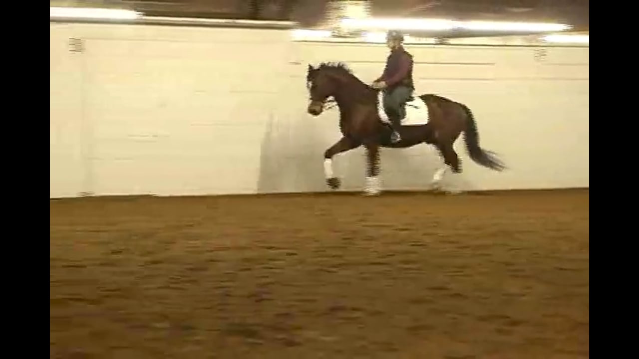 Training Caryn Vesperman at Second Level |Alex Gerding | PART 01