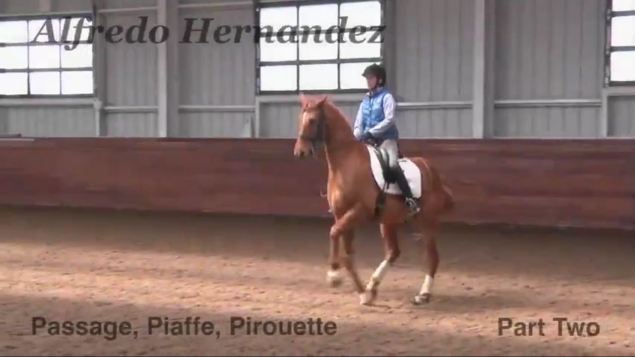 Passage, Piaffe, Pirouettes | Alfredo Hernandez | PART 02