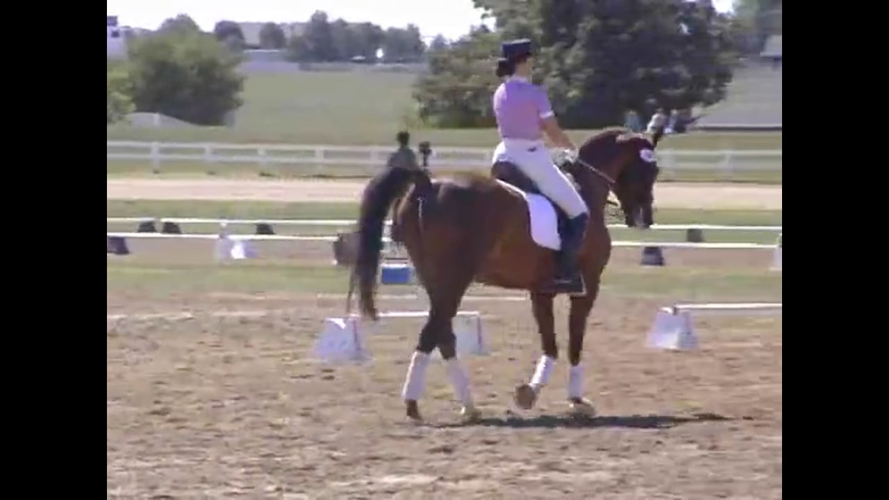 Alfredo Hernandez -1st level, Intro to Work in Hand