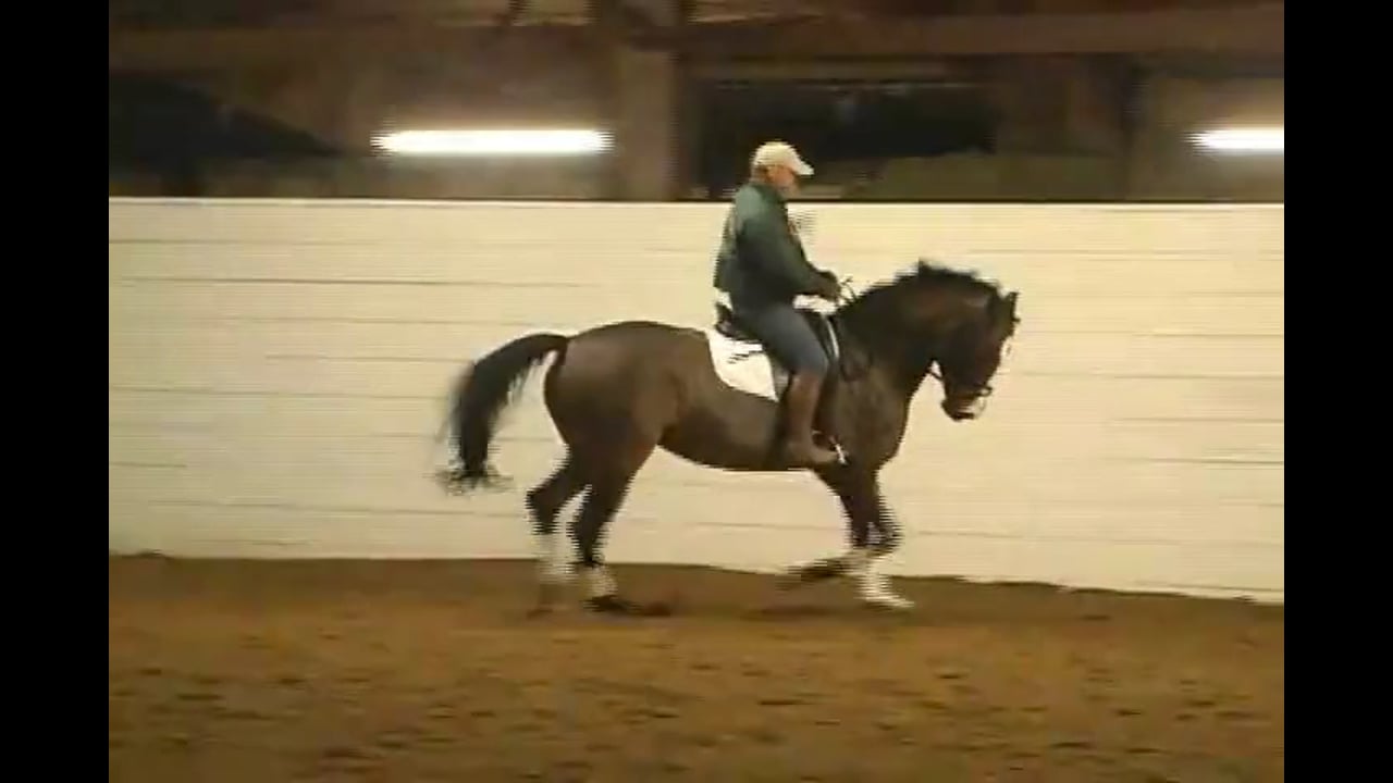 Training Caryn Vesperman at Second Level |Alex Gerding | PART 03