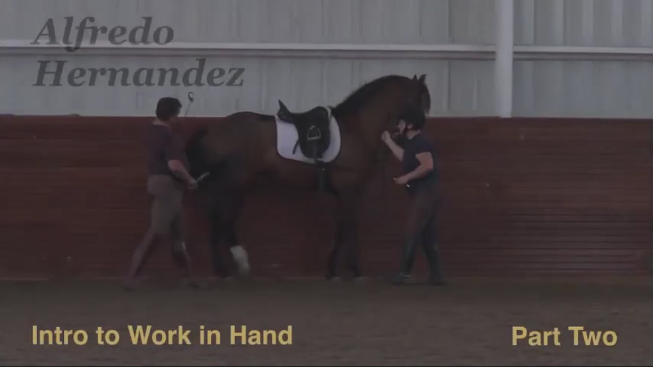 1st level, Intro to Work in Hand | Alfredo Hernandez | PART 02