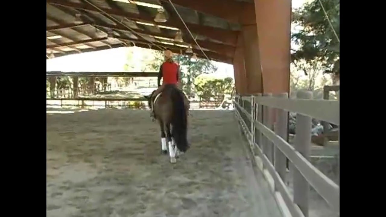 Training Gundi Younger at Fourth Level | Alex Gerding | PART 03