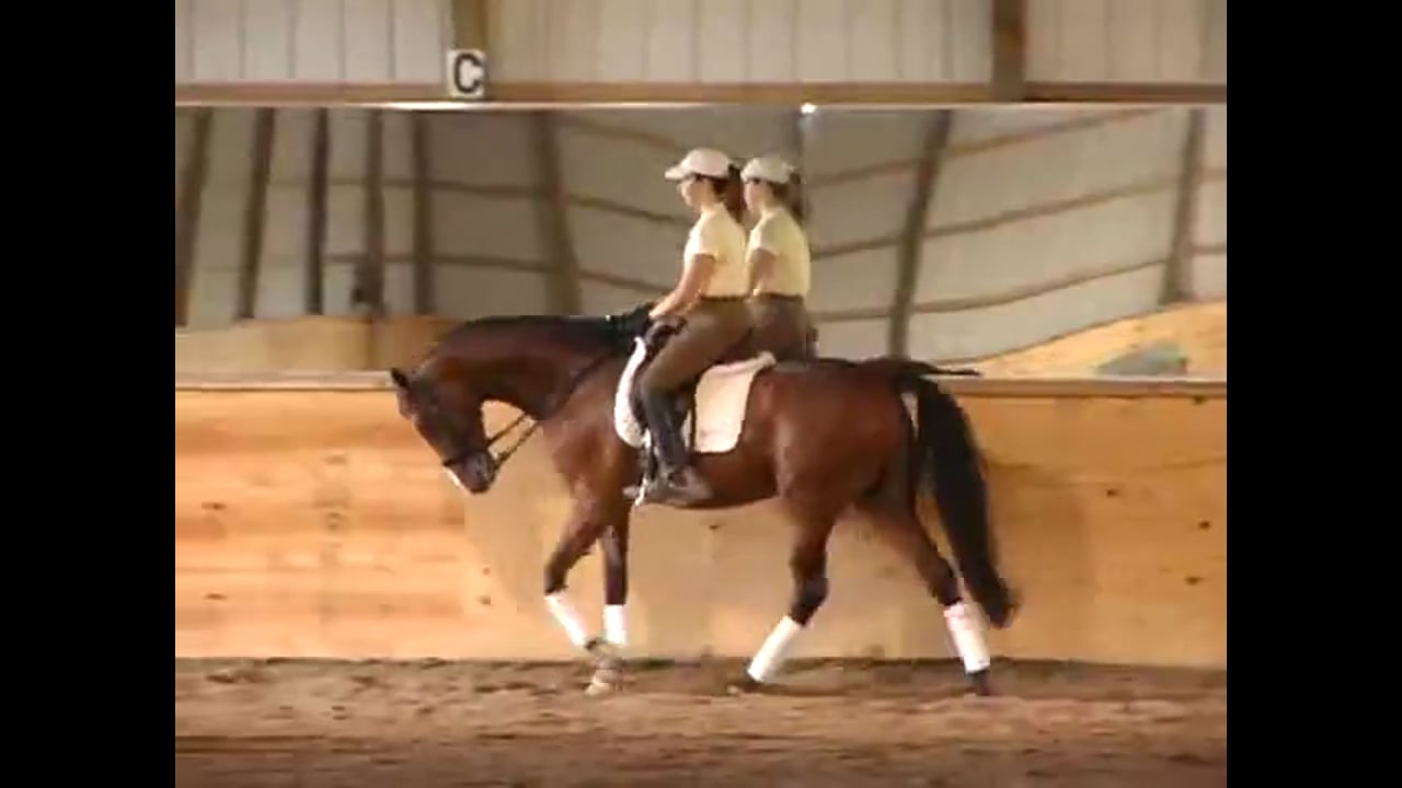 Anticipation in the Changes | Chrissa Hoffman | PART 01