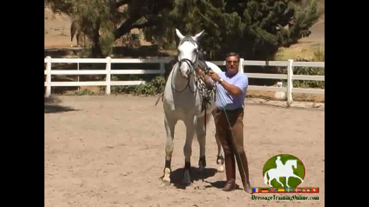 Alignment & Balance - Part 1