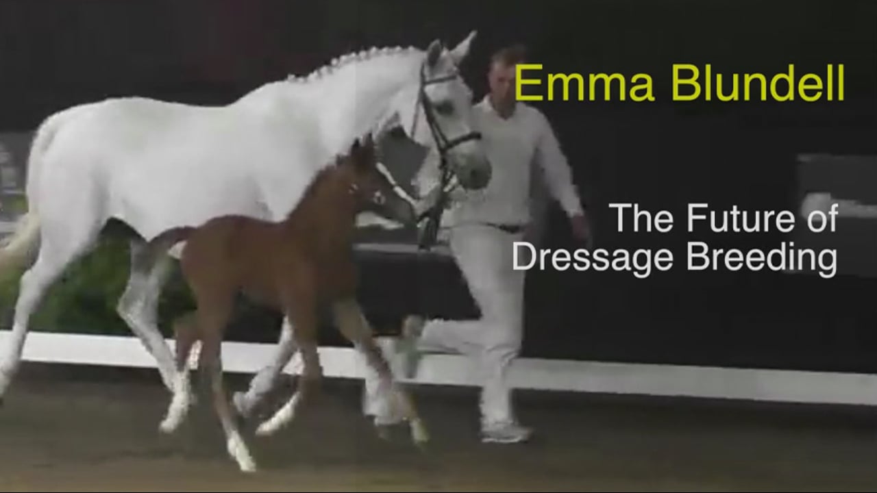The Future of Dressage Breeding | Emma Blundell | PART 04