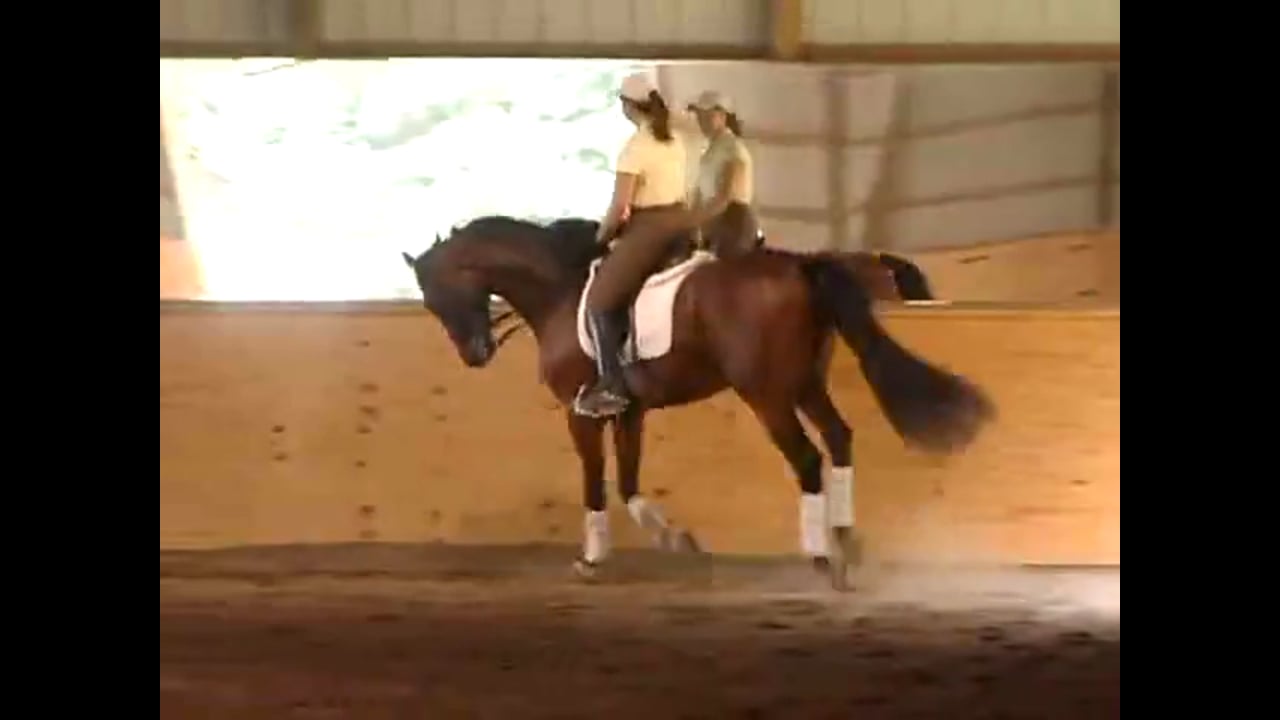 Anticipation in the Changes | Chrissa Hoffman | PART 02