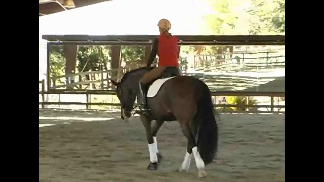Training Gundi at Fourth Level | Alex Gerding | PART 03