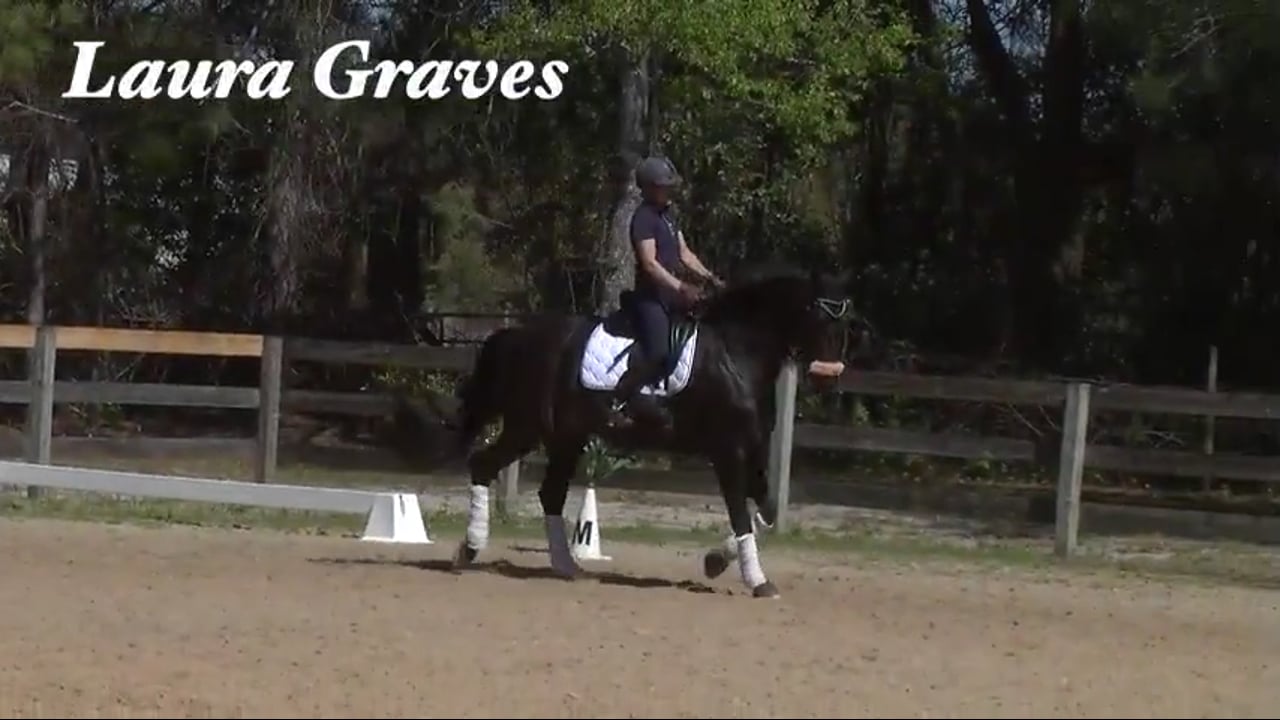 Always Forward | Laura Graves | PART 04