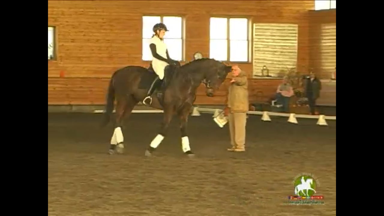 M Level, 4-2 Test Ridden, Improving Canter Pirouettes | Axel Steiner | PART 02