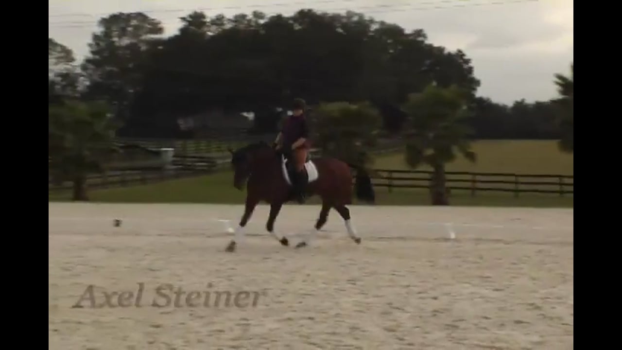 Baby Riding 101 at the Training Level | Axel Steiner | PART 04
