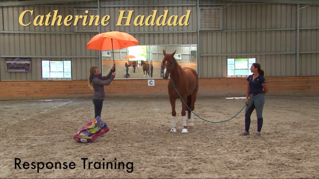 Response Training - Applicable to All Levels | Catherine Haddad
