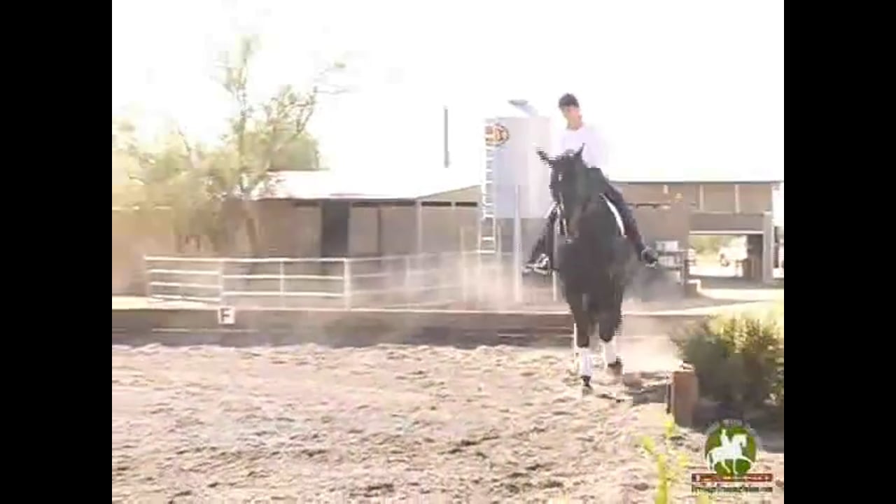 Running through a PSG and I1 test | Axel Steiner | PART 01