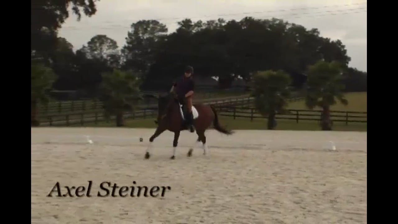 Baby Riding 101 at the Training Level | Axel Steiner | PART 03