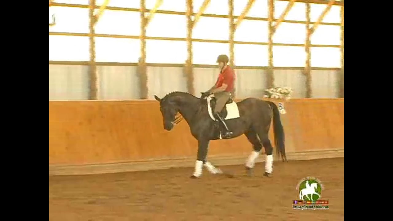 4th Level thru GP, Through the Levels | Janet Foy & Steffen Peters | PART 13