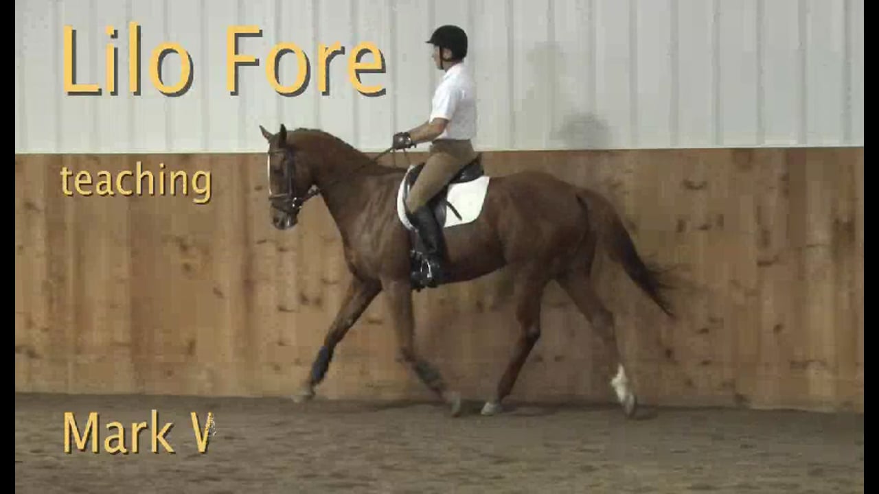 Balance in the young Event horse - 2/2012, FarmVet/USDF Adult Clinic, Lilo Fore,